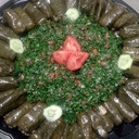 E3. Grape Leaves (DF, GF)