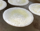 B5. Vegan Plain Dosa (GF, Vegan, DF)