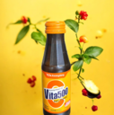 C3. Vita 500 (Vegan, DF, GF)